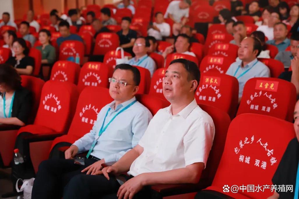 遼寧到桐城市貨運(yùn)專線安徽桐城到沈陽有多遠(yuǎn)