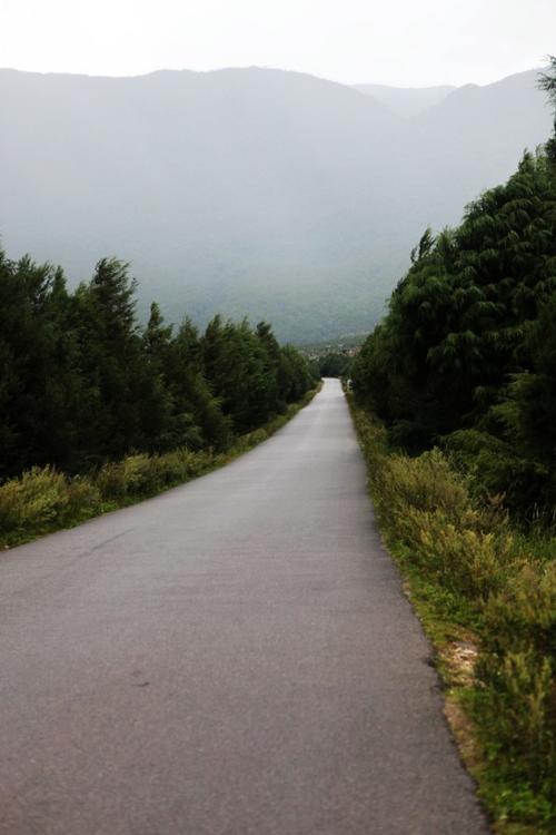 沈陽至麗江市貨運電話沈陽至麗江市貨運電話號碼