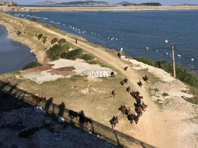 平潭島貨運平潭貨運站