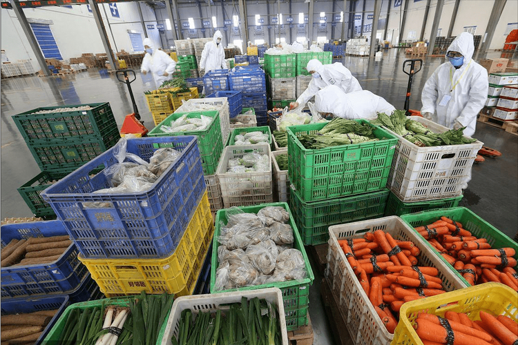 物流貨運水果物流運輸水果