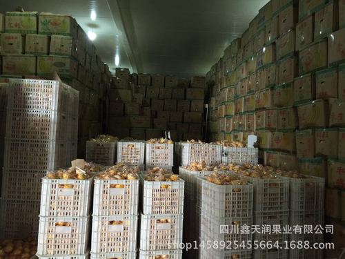 湖南水果貨運(yùn)湖南水果貨運(yùn)公司排名