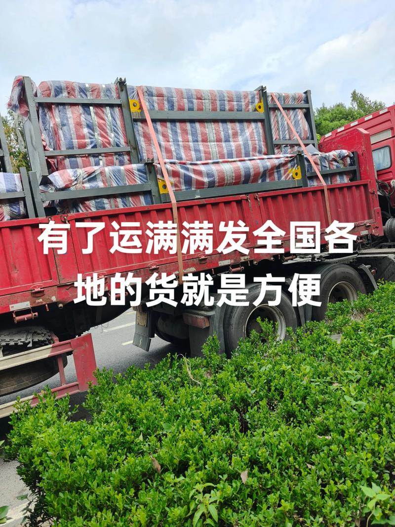 滿滿貨運(yùn)物流滿滿貨運(yùn)下載安裝