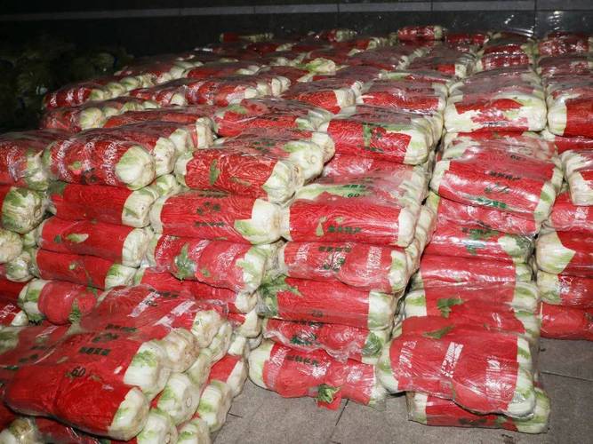 貨運(yùn)蔬菜包裝貨運(yùn)蔬菜包裝圖片