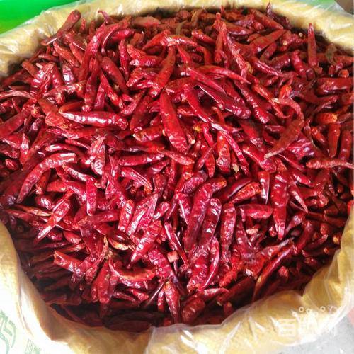 辣椒貨運騙局辣椒貨運騙局揭秘